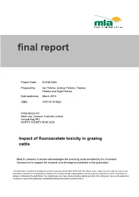 Final Report Template