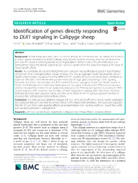 Identification of Genes Directly Responding to DLK1 Signaling in Callipyge Sheep Hui Yu1,2* ,Jolenan.Waddell1,6, Shihuan Kuang1,3, Ross L
