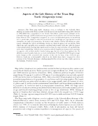 Aspects of the Life History of the Texas Map Turtle (Graptemys Versa)