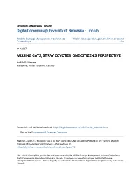 Missing Cats, Stray Coyotes: One Citizen’S Perspective