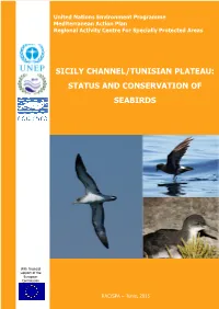 Sicily Channel/Tunisian Plateau: Status and Conservation of Seabirds