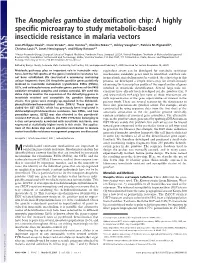 The Anopheles Gambiae Detoxification Chip: a Highly Specific Microarray to Study Metabolic-Based Insecticide Resistance in Malaria Vectors