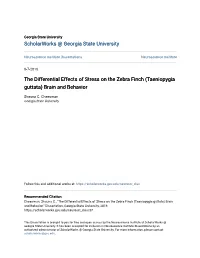 The Differential Effects of Stress on the Zebra Finch (Taeniopygia Guttata) Brain and Behavior