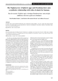 And Pseudomyrmex Ants: a Symbiotic Relationship with Risks of Attack for Humans