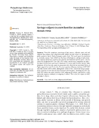 Syringa Vulgarisis a New Host for Cucumber Mosaic Virus