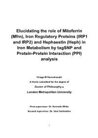 In Iron Metabolism by Tagsnp and Protein-Protein Interaction (PPI) Analysis