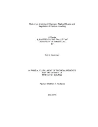 Multi-Omic Analysis of Hibernator Skeletal Muscle and Regulation of Calcium Handling
