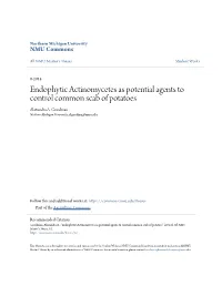 Endophytic Actinomycetes As Potential Agents to Control Common Scab of Potatoes Alaxandra A