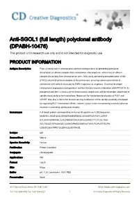Anti-SGOL1 (Full Length) Polyclonal Antibody (DPABH-10476) This Product Is for Research Use Only and Is Not Intended for Diagnostic Use