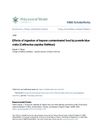 Effects of Ingestion of Kepone Contaminated Food by Juvenile Blue Crabs (Callinectes Sapidus Rathbun)