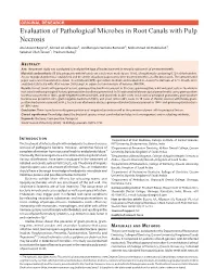 Evaluation of Pathological Microbes in Root Canals with Pulp Necrosis