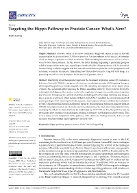 Targeting the Hippo Pathway in Prostate Cancer: What's New?