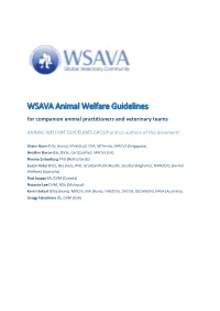 WSAVA Animal Welfare Guidelines for Companion Animal Practitioners and Veterinary Teams