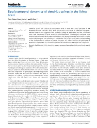 Spatiotemporal Dynamics of Dendritic Spines in the Living Brain