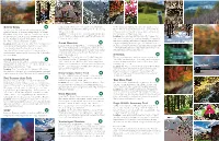 Trail Map and Guide