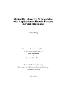 Minimally Interactive Segmentation with Application to Human Placenta in Fetal MR Images