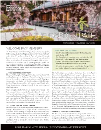 The Garden Path