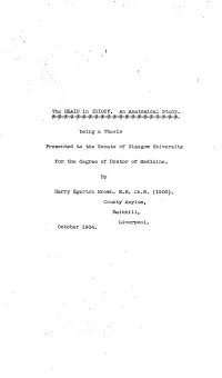 The HE2AIN in IDIOCY, Ah .Anatiomical Shudy, Being a Thesis Presented to the Senate of Glasgow University for the Degree of Doct