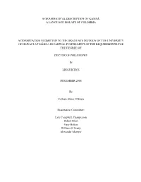 A Grammatical Description of Kamsá, a Language Isolate of Colombia