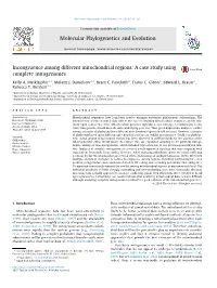 Molecular Phylogenetics and Evolution 78 (2014) 314–323
