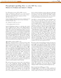 Phospholipid Signalling: Rho Is Only ARF the Story Michael A