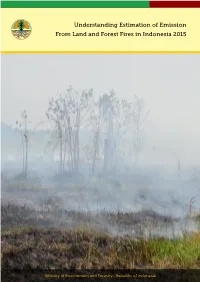 Understanding Estimation of Emission from Land and Forest Fires in Indonesia 2015