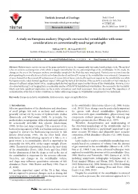 A Study on European Anchovy (Engraulis Encrasicolus) Swimbladder with Some Considerations on Conventionally Used Target Strength