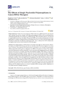 The Effects of Single Nucleotide Polymorphisms in Cancer Rnai