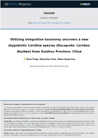 Utilizing Integrative Taxonomy Uncovers a New Stygobiotic