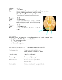 A&P Spinal PNS C