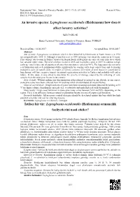 An Invasive Species: Leptoglossus Occidentalis (Heidemann) How Does It Affect Forestry Activities?