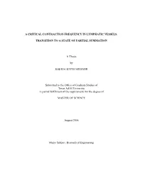 Beat-To-Beat Period, Relaxation Time, and Partial Summation in A