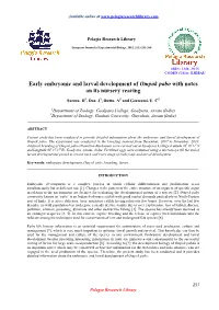 Early Embryonic and Larval Development of Ompok Pabo with Notes on Its Nursery Rearing
