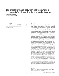 Reciprocal Linkage Between Self-Organizing Processes Is Sufﬁcient for Self-Reproduction and Evolvability