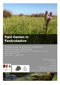 SRT Field Gentian in Pembrokeshire Report