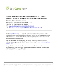 Feeding, Reproductive, and Nesting Behavior of Canthon Bispinus Germar
