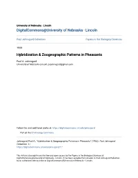 Hybridization & Zoogeographic Patterns in Pheasants