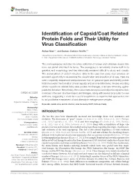 Identification of Capsid/Coat Related Protein Folds and Their Utility for Virus Classification