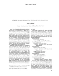 AMCS Bulletin 5 Reprint a REPORT on CAVE SPIDERS FROM