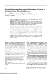 Thrombin Increases Expression of Urokinase Receptor by Activation of the Thrombin Receptor