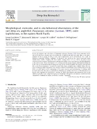 Lundsten Et Al