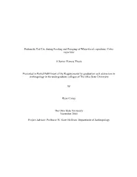 Prehensile Tail Use During Feeding and Foraging of White-Faced Capuchins, Cebus Capucinus