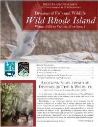 Wild Rhode Island Winter 2020  Volume 13  Issue 1