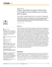 Limb Length and Microhabitat Use in Lizards with Toe Pads