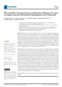 Microsatellite Characterization of Malaysian Mahseer (Tor Spp.) for Improvement of Broodstock Management and Utilization