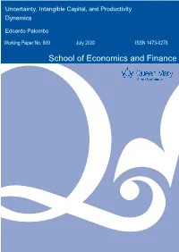 Uncertainty, Intangible Capital, and Productivity Dynamics