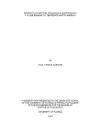University of Florida Thesis Or Dissertation Formatting