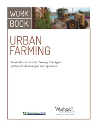 An Introduction to Urban Farming, from Types and Benefits to Strategies and Regulations