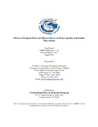 Effects of Pumped Flows Into Rincon Bayou on Water Quality and Benthic Macrofauna Coastal Bend Bays & Estuaries Program
