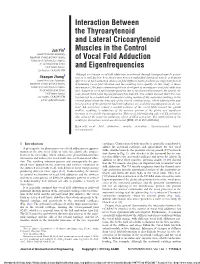 Interaction Between the Thyroarytenoid and Lateral Cricoarytenoid